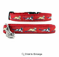 French Bulldog Collar & Leash