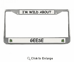 Geese License Plate Frame