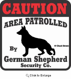 German Shepherd Bumper Sticker Caution