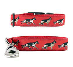 German Shepherd Collar & Leash