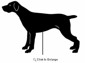 German Shorthaired Pointer Garden Stake