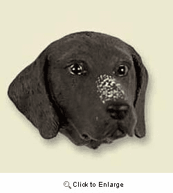 German Shorthaired Pointer Magnet
