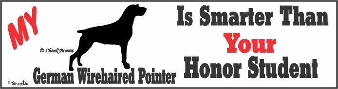 German Wirehaired Pointer Bumper Sticker Honor Student