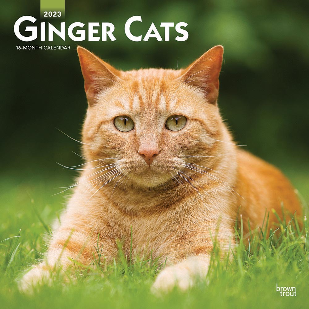 Cat Products, Jewelry & Gifts – Animal Den