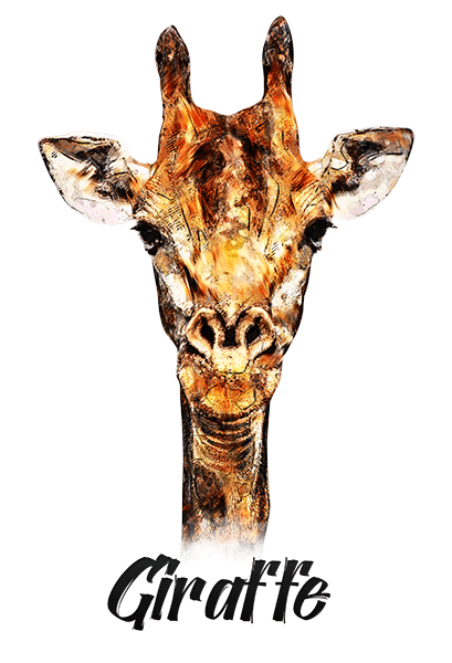 Giraffe T-Shirt - Vivid Colors