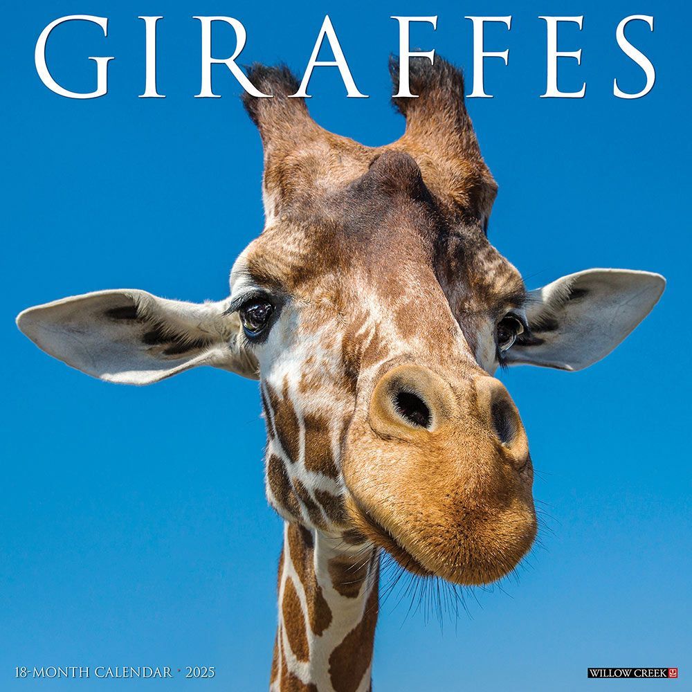 2025 Giraffes Calendar
