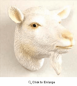Goat Magnet