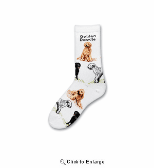 Golden Doodle Poses Socks