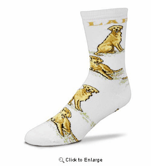 Golden Lab All Over Socks