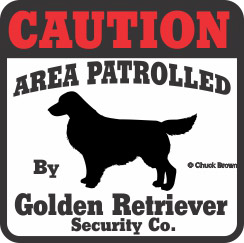 Golden Retriever Bumper Sticker Caution