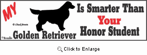 Golden Retriever Bumper Sticker Honor Student