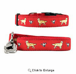 Golden Retriever Collar & Leash