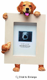 Golden Retriever Picture Frame