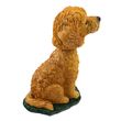 Goldendoodle Bobblehead