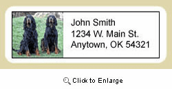 Gordon Setter Address Labels