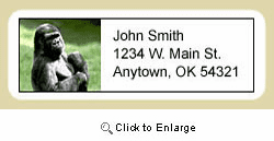 Gorilla Address Labels
