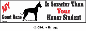 Great Dane Bumper Sticker Honor Student
