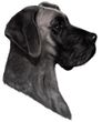 Great Dane Decal Window Sticker