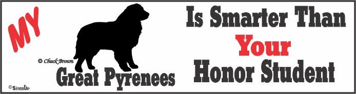 Great Pyrenees Bumper Sticker Honor Student