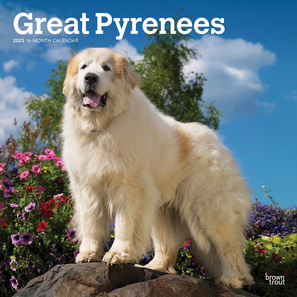Great Pyrenees Calendar 2024Animal Den