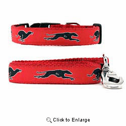 Greyhound Collar & Leash