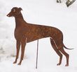 Greyhound Garden Stake