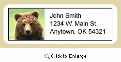 Grizzly Bear Address Labels