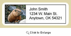 Groundhog Address Labels