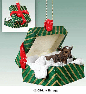 Guernesey Bull Gift Box Christmas Ornament