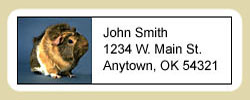 Guinea Pig Address Labels