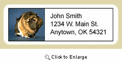 Guinea Pig Address Labels