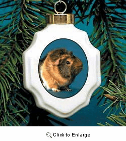 Guinea Pig Christmas Ornament Porcelain