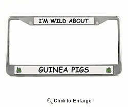Guinea Pig License Plate Frame