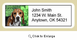 Harrier Address Labels