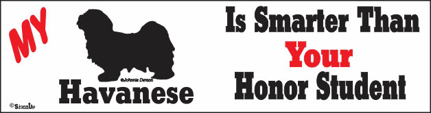 Havanese Bumper Sticker Honor Student