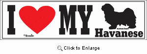 Havanese Bumper Sticker I Love My