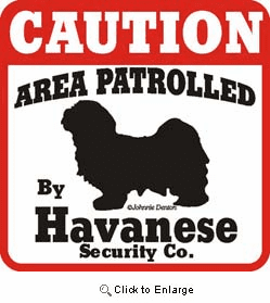 Havanese Caution Sign