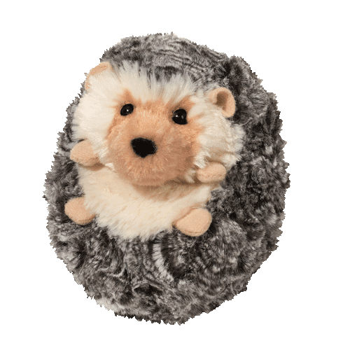 Hedgehog Stuffed Animals & Several Hedgehog Plush at Animal Den