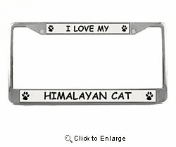 Himalayan Cat License Plate Frame