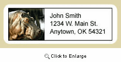 Hippopotamus Address Labels