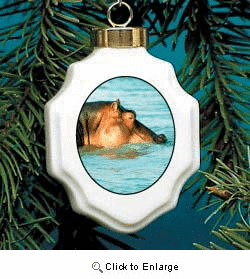 Hippopotamus Christmas Ornament Porcelain