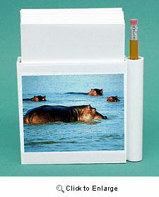 Hippopotamus Hold-a-Note