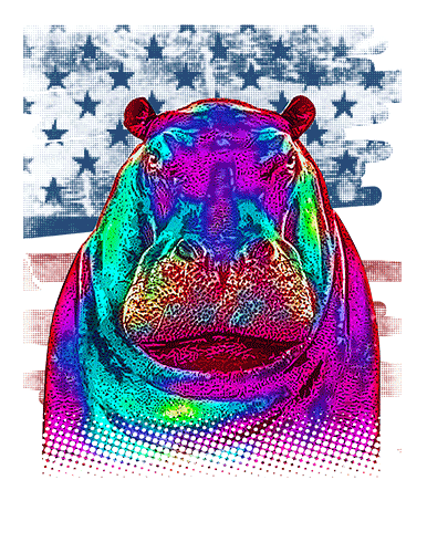 Hippopotamus T Shirt American Flag