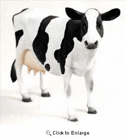 Holstein Cow Figurine