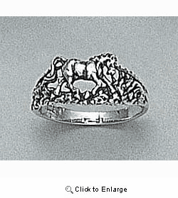 Horse Ring