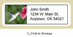 Hummingbird Address Labels