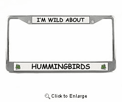 Hummingbird License Plate Frame