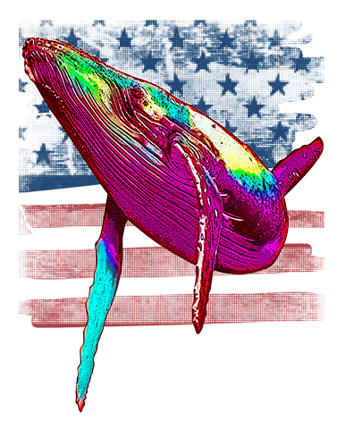 Humpback Whale T Shirt American Flag