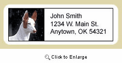 Ibizan Hound Address Labels