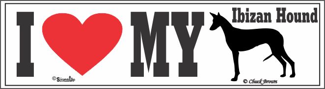 Ibizan Hound Bumper Sticker I Love My